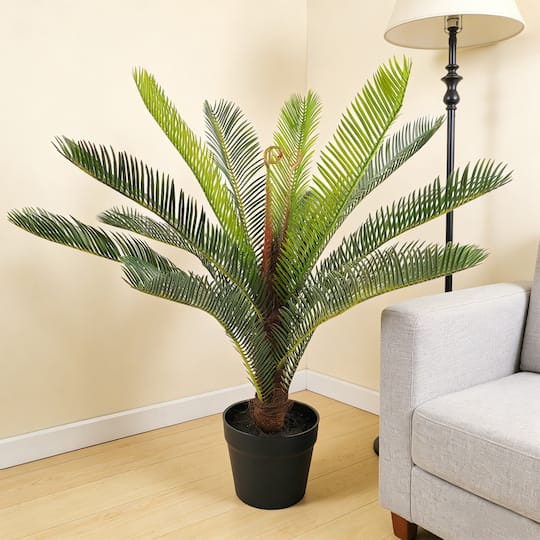 2ft. Premade Potted Sago Palm Plant by Ashland®